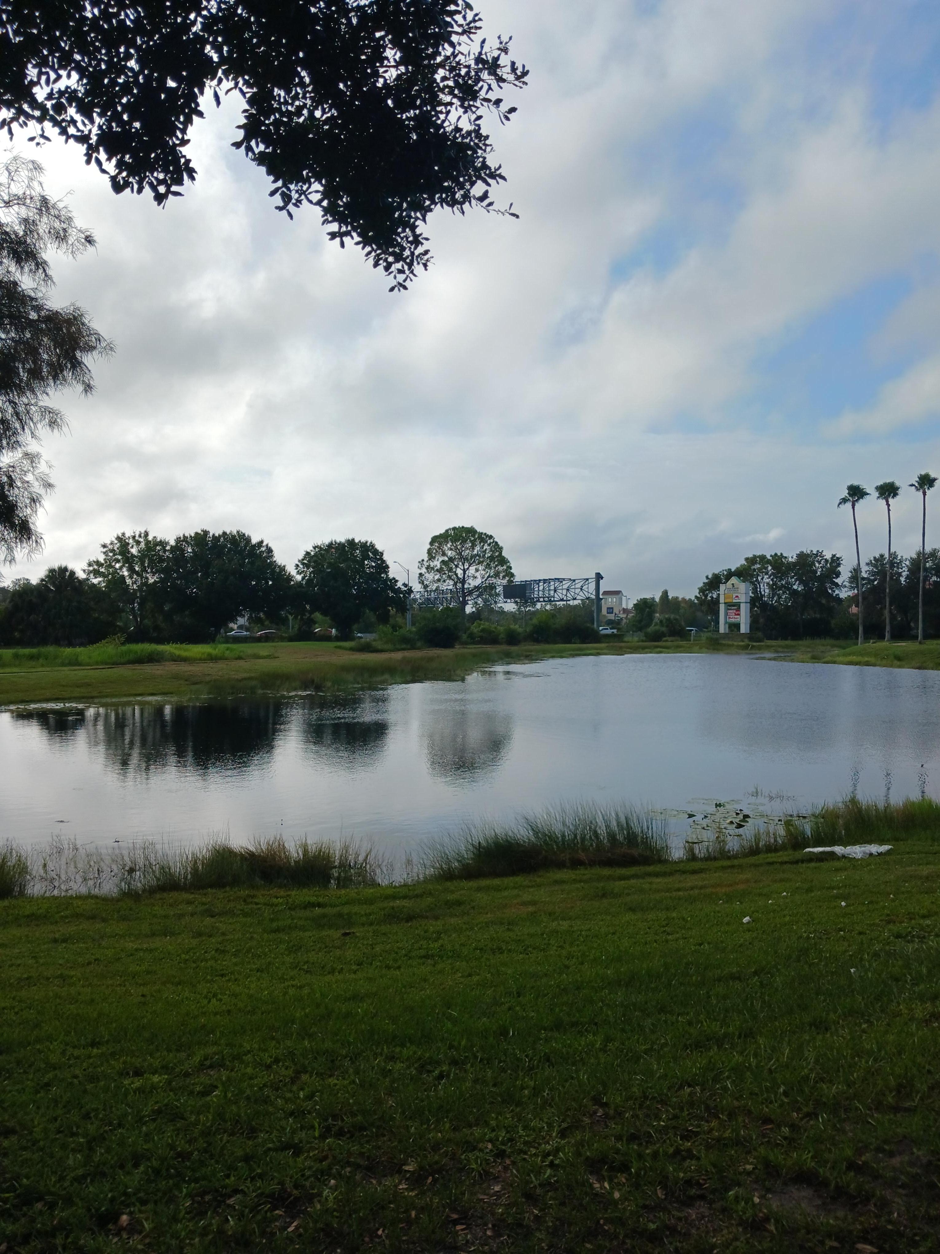The lake in the back of the hotel. 