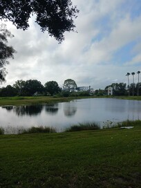 The lake in the back of the hotel.