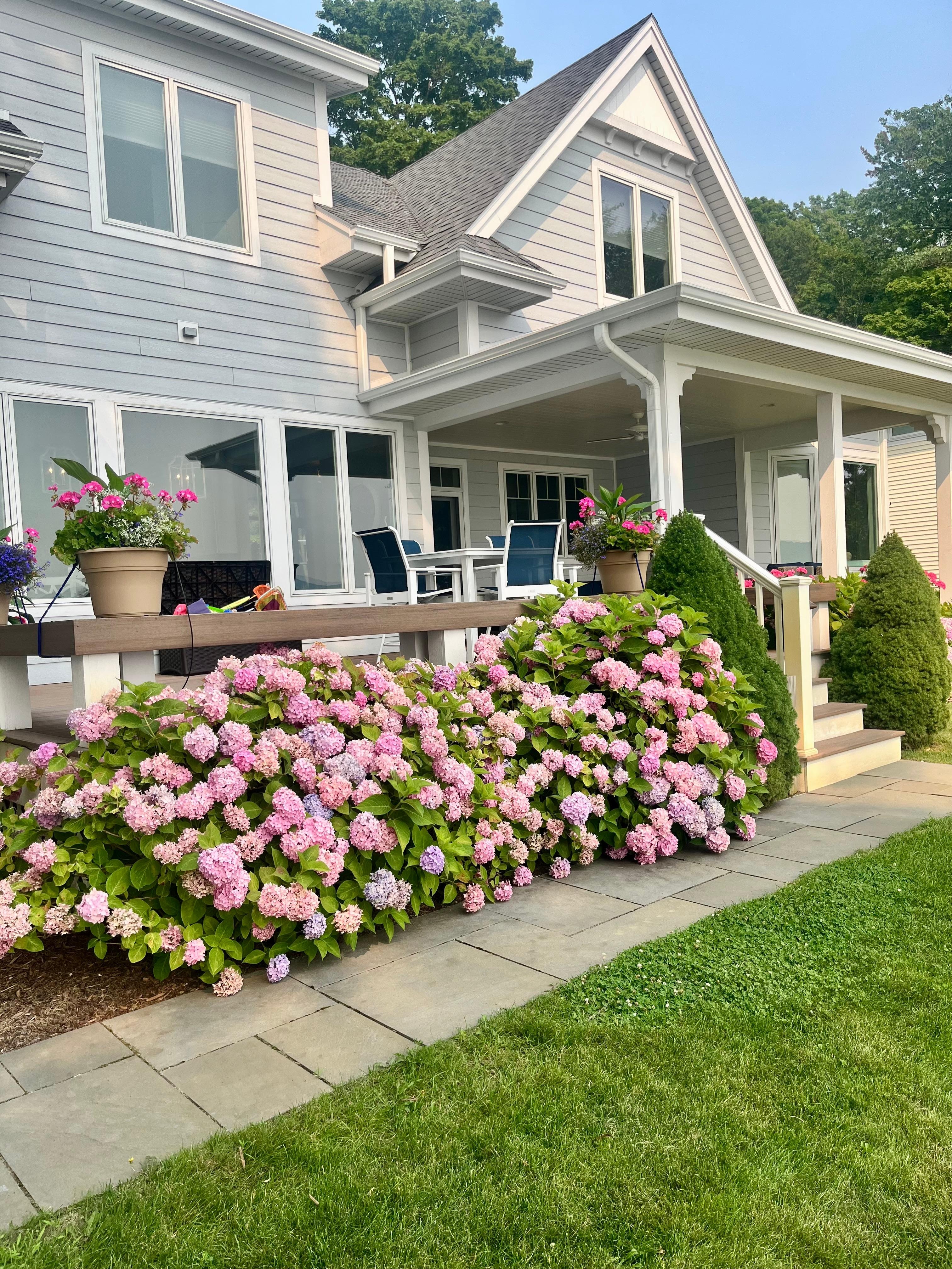 The flowers around the house and gardens were unbelievable