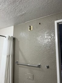 Roach on wall