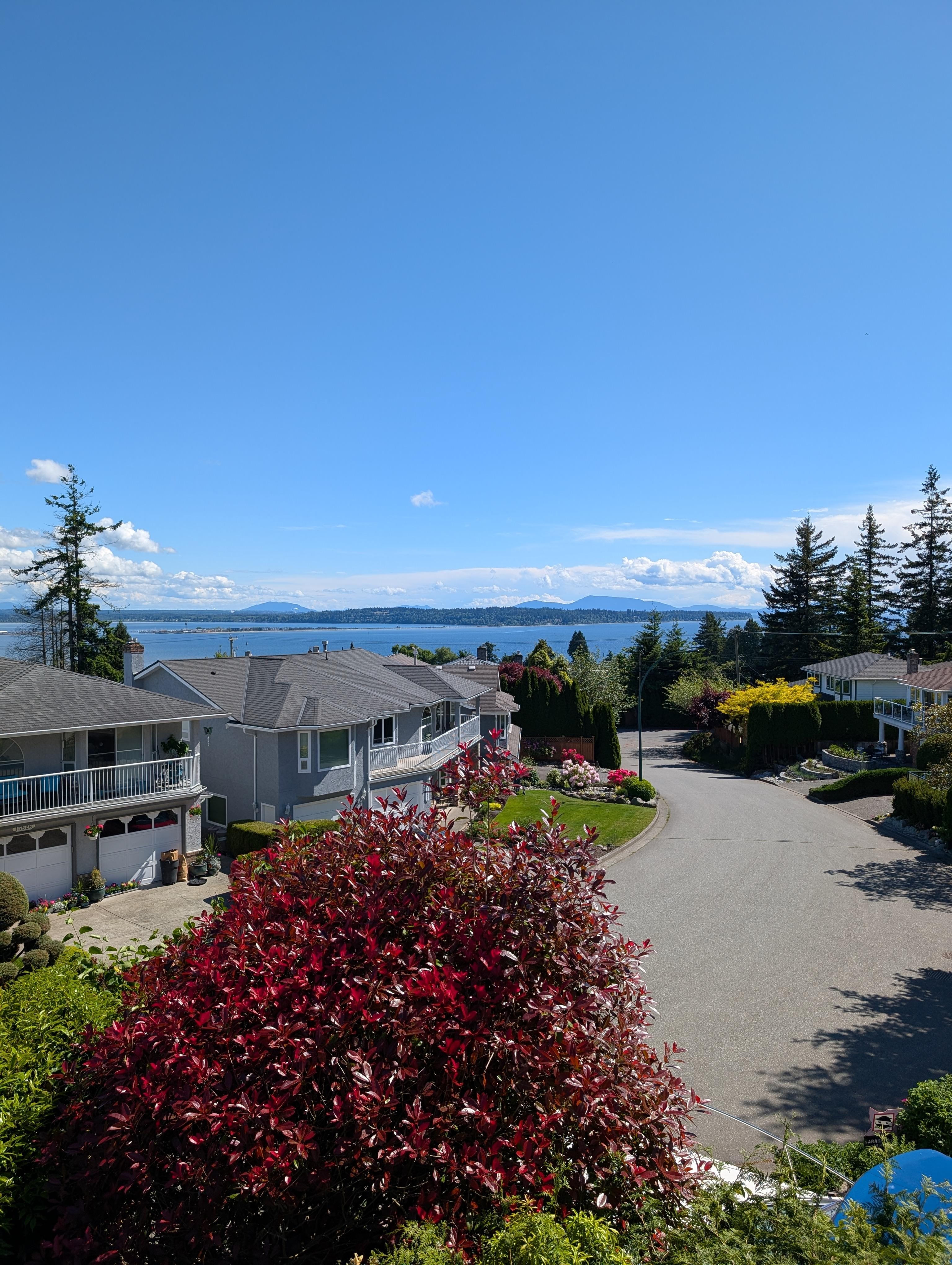 View from the patio.
