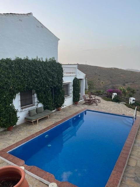 Pool area, lots loungers