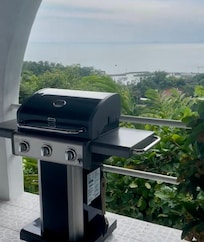 we definitely used the grill