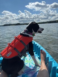Kayaks available to use