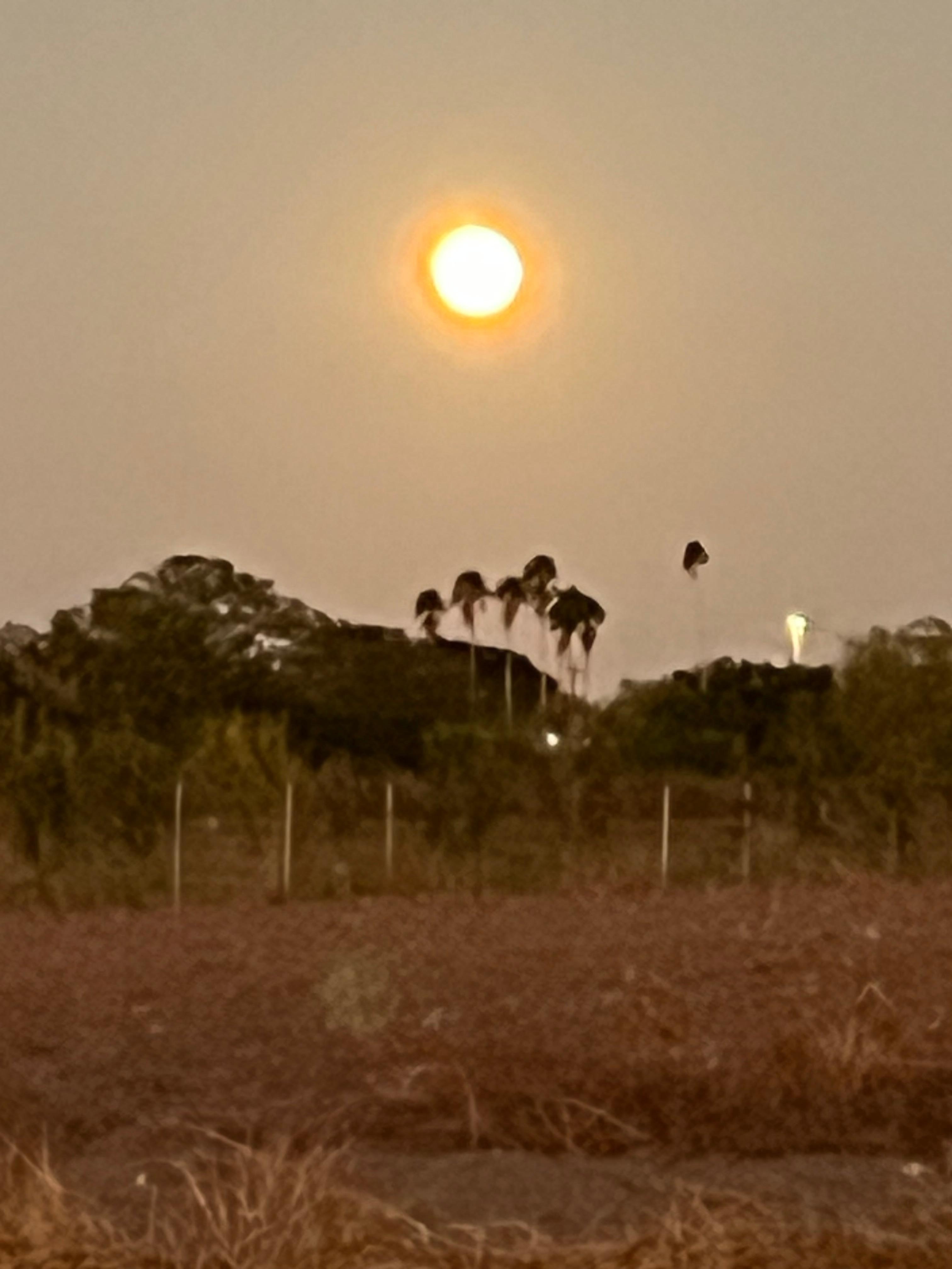 Big moon from the street in front of the home.  Lovely open space.