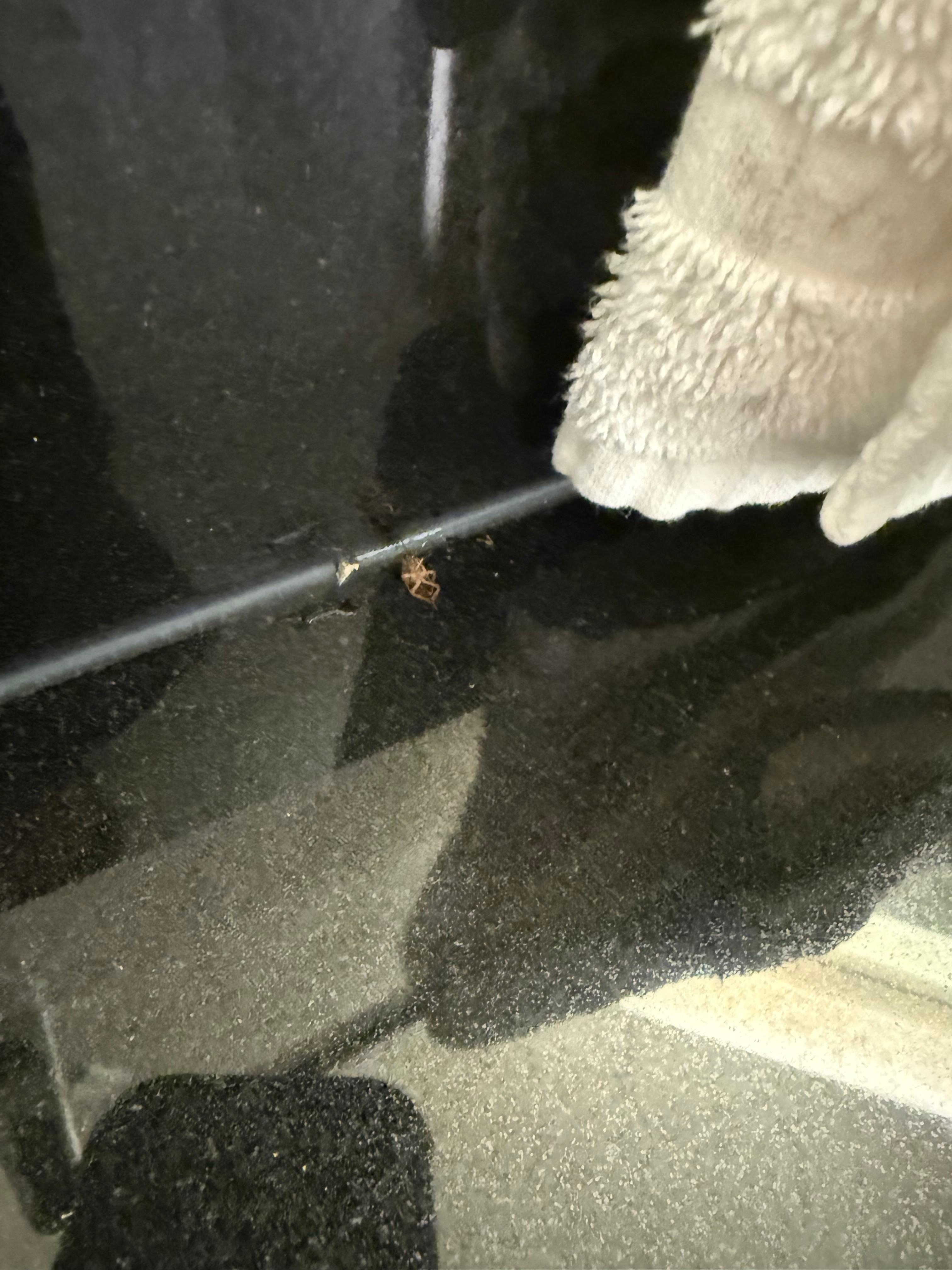 More in the bathroom 