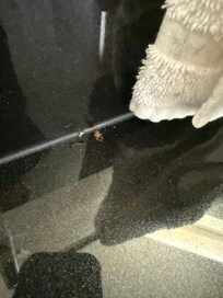 More in the bathroom