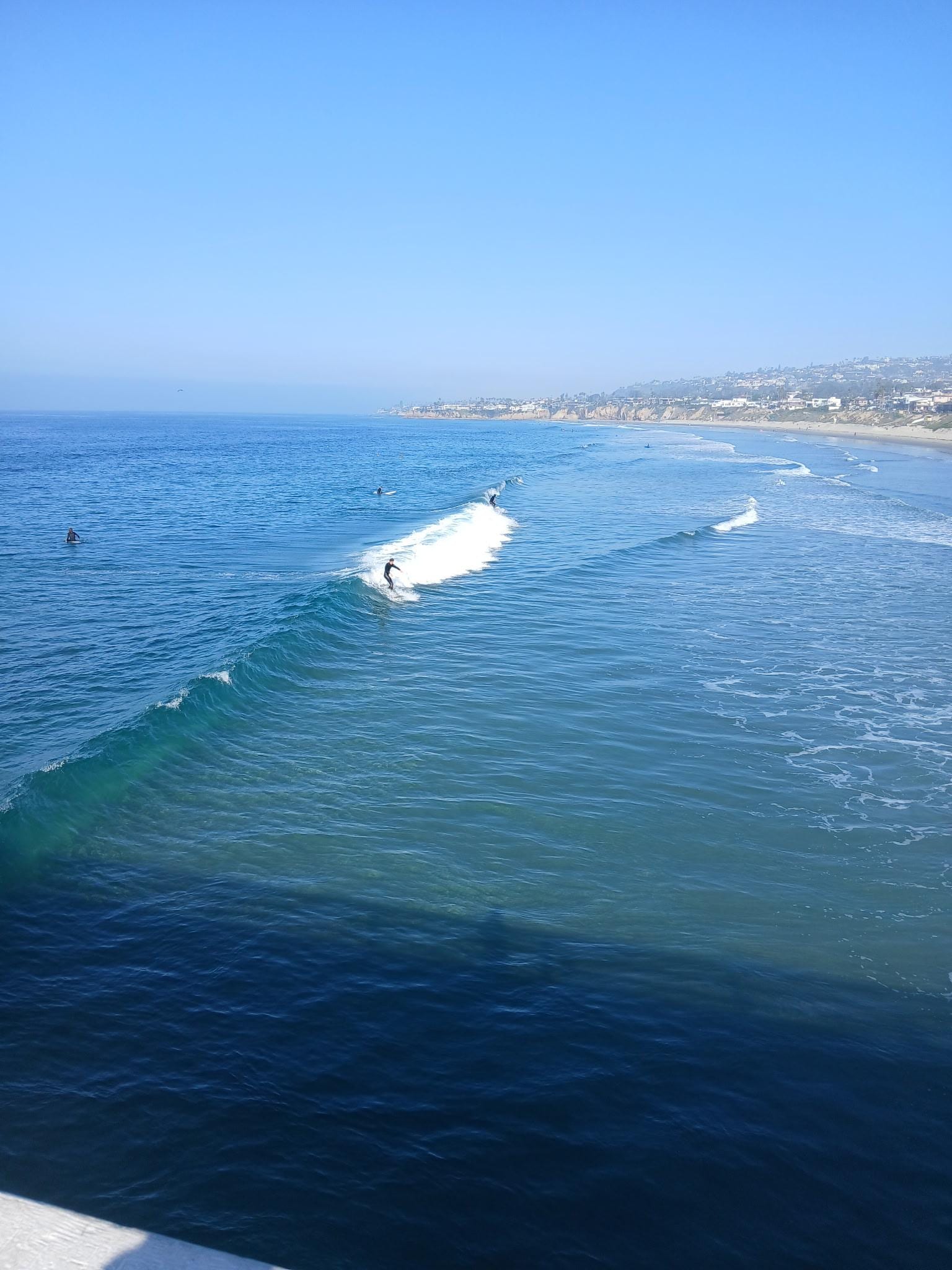 A perfect day of viewing!!