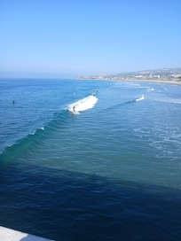 A perfect day of viewing!!