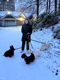 Morning walk in grounds after snow