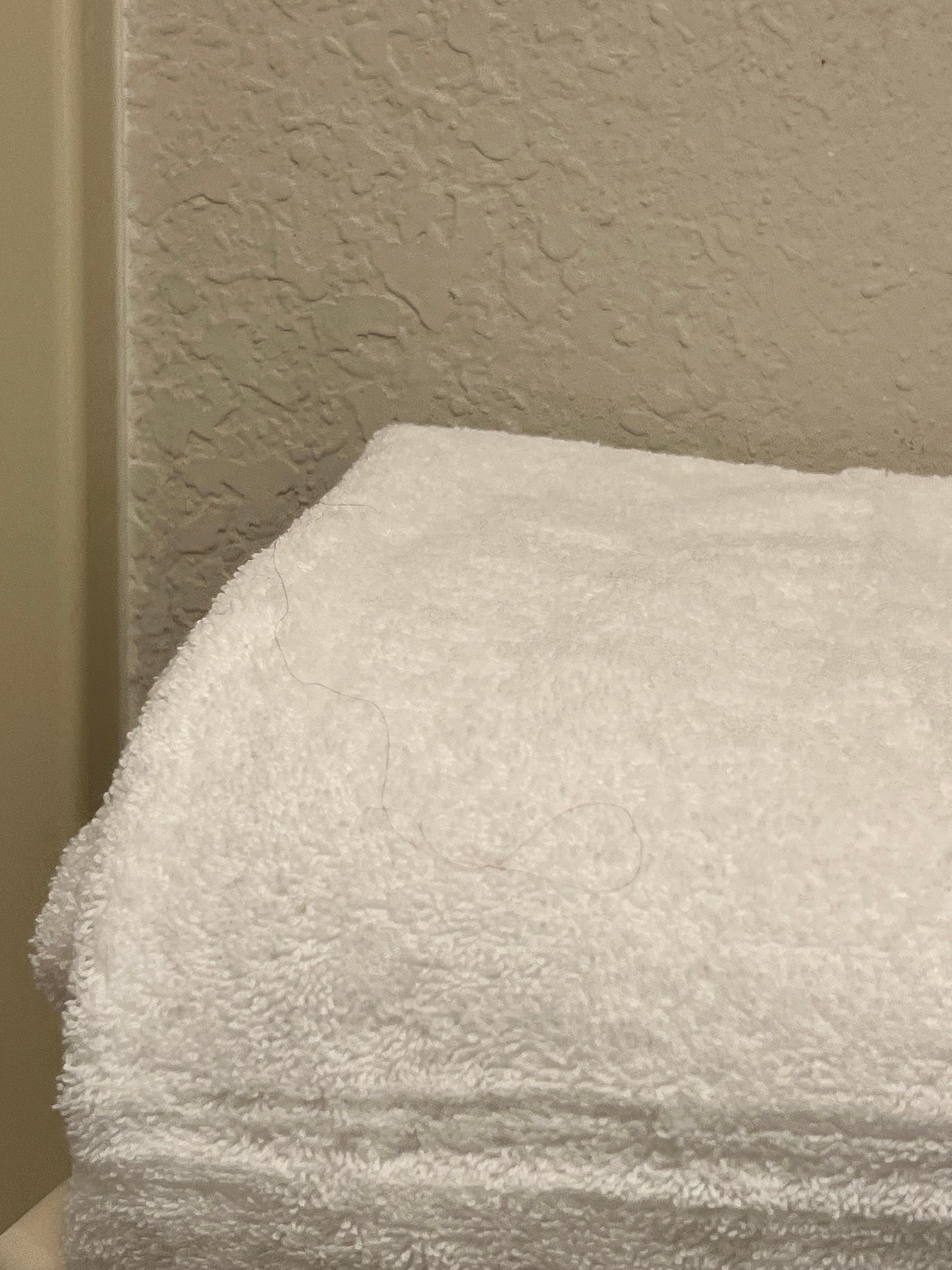 Hair on the towels