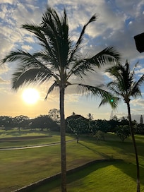 Off the lanai