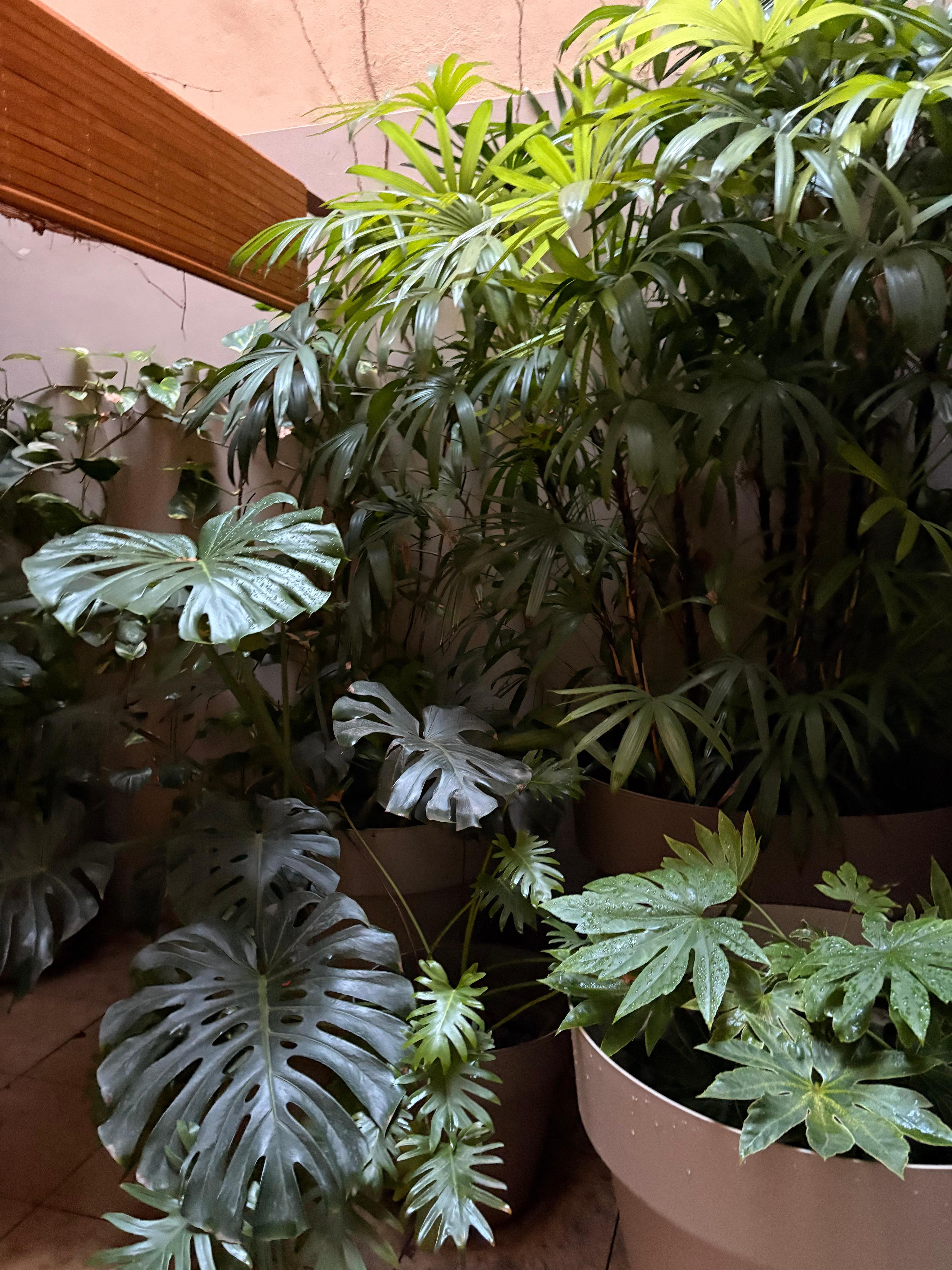 Atrium terrace off room