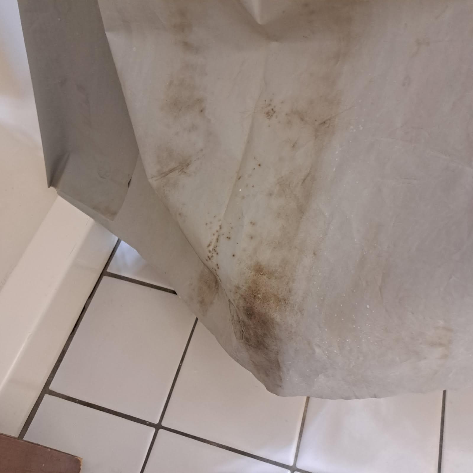 Moldy shower curtain