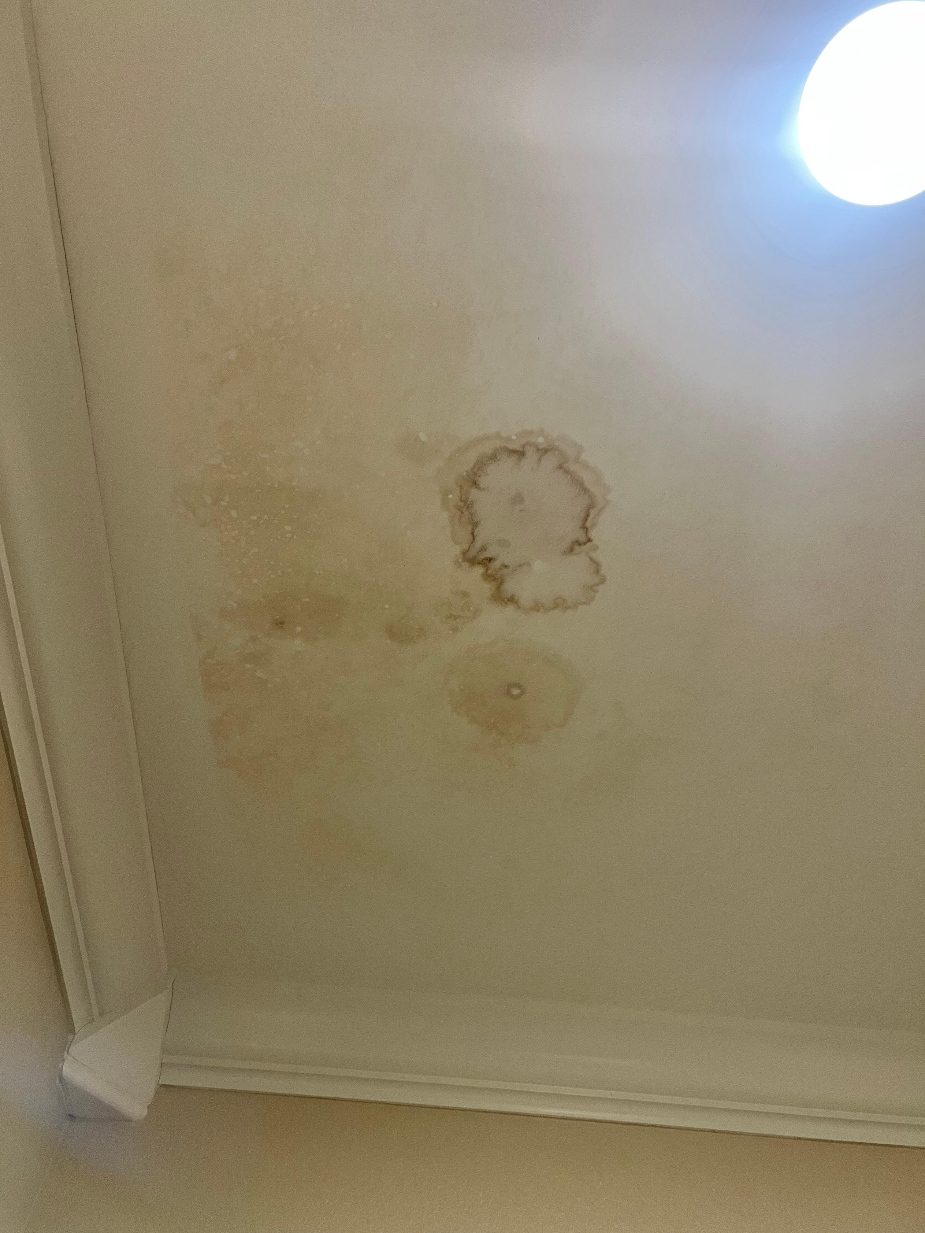 Ceiling in entry way