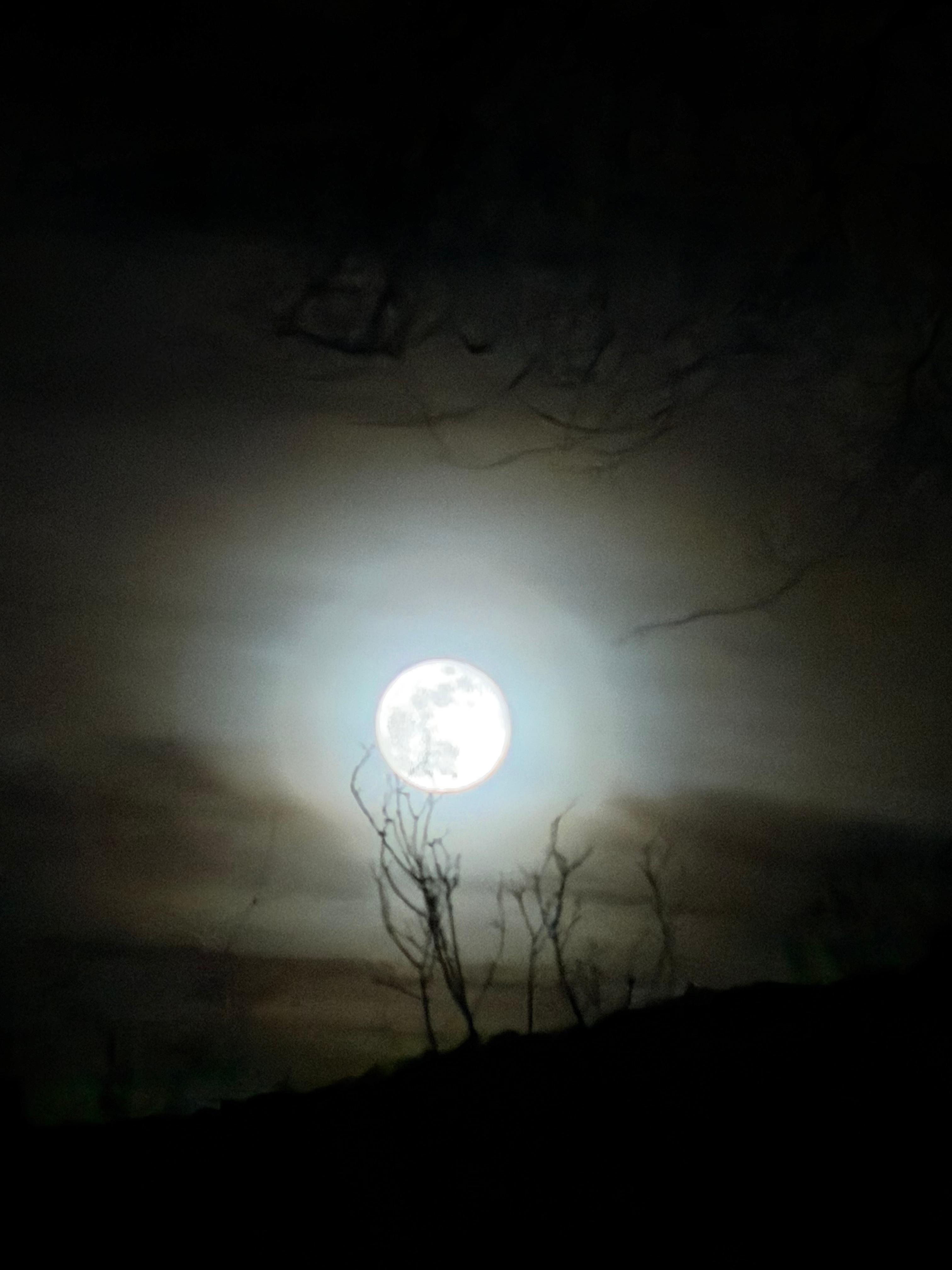 Easily enjoy the night sky from outdoor seating 