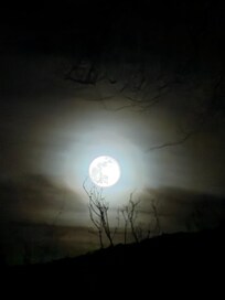 Easily enjoy the night sky from outdoor seating