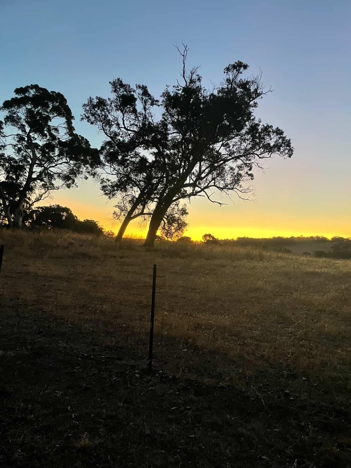 Sunsets were fantastic 