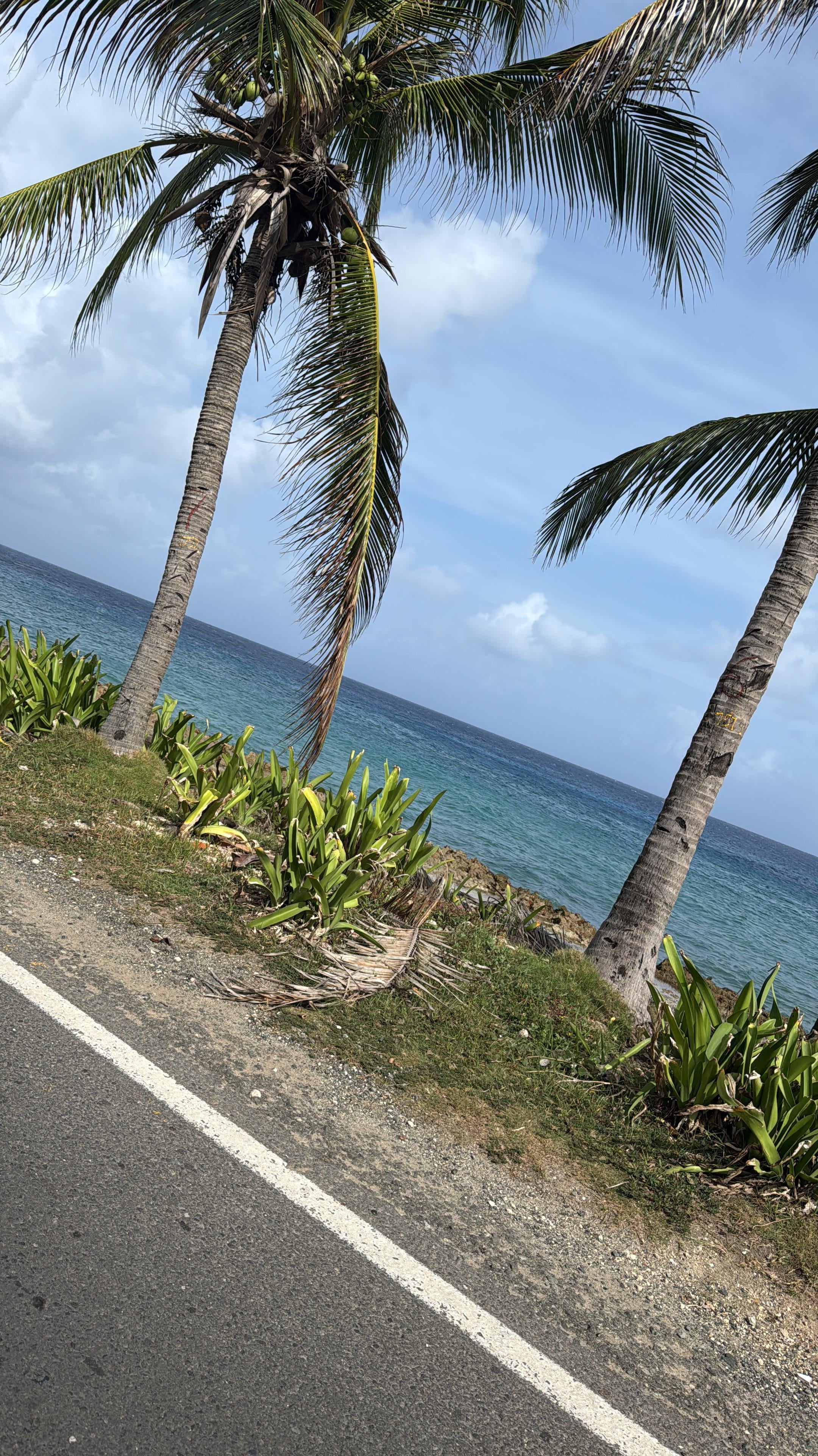 Driving around the island