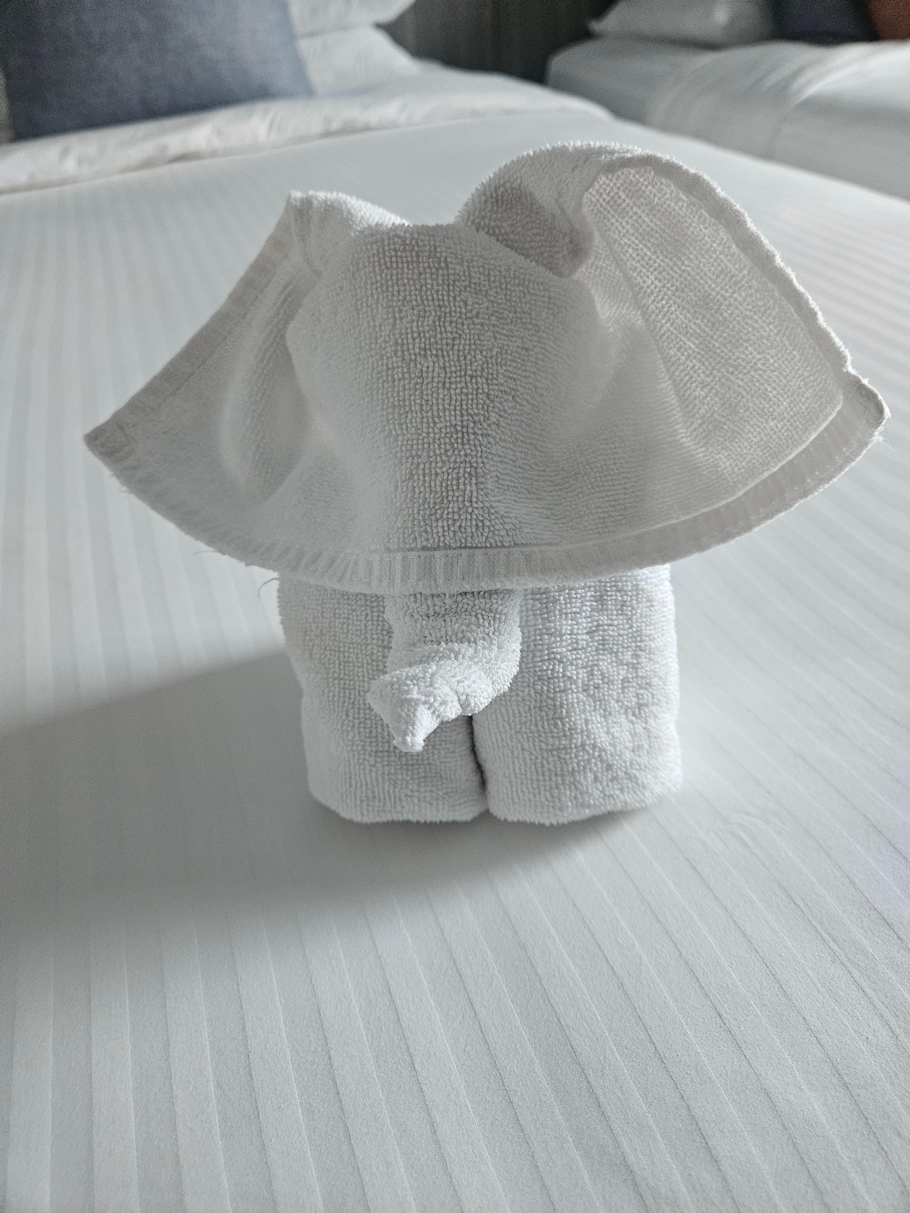 My children loved the towel elephant the staff made.  