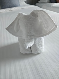 My children loved the towel elephant the staff made.