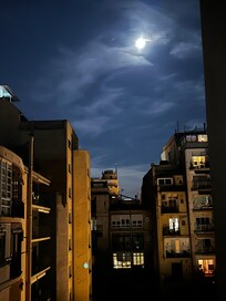 Evening view