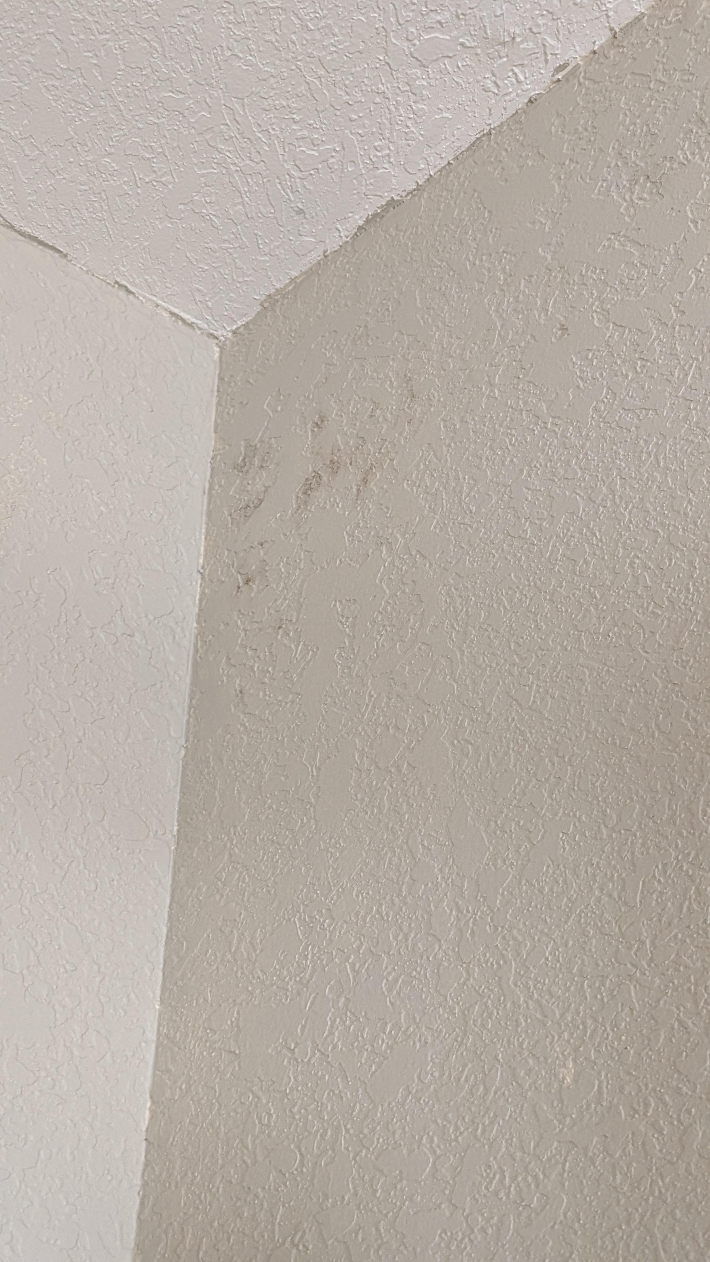 Mold and water damage
