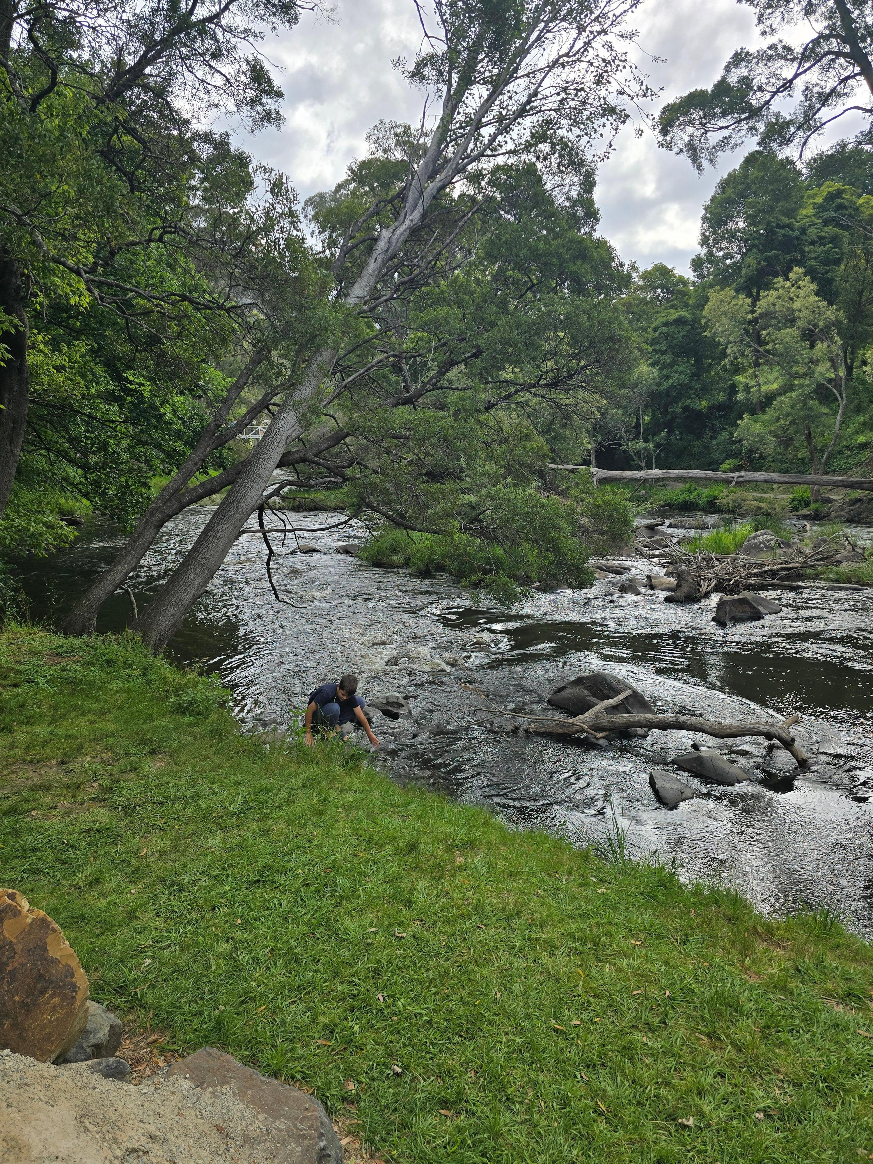 Walking track by the river