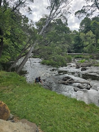 Walking track by the river