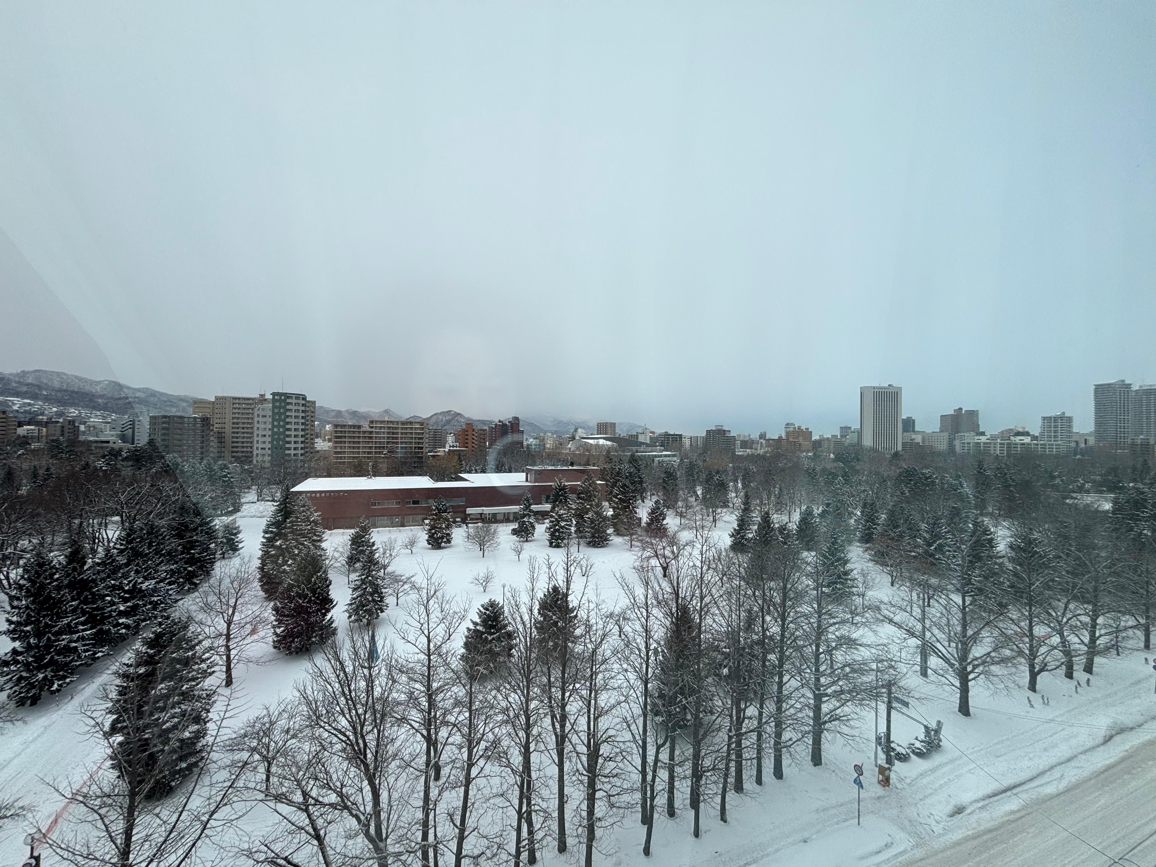 お部屋からみた中島公園です！とても静寂でよかったです！