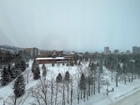 お部屋からみた中島公園です!とても静寂でよかったです!