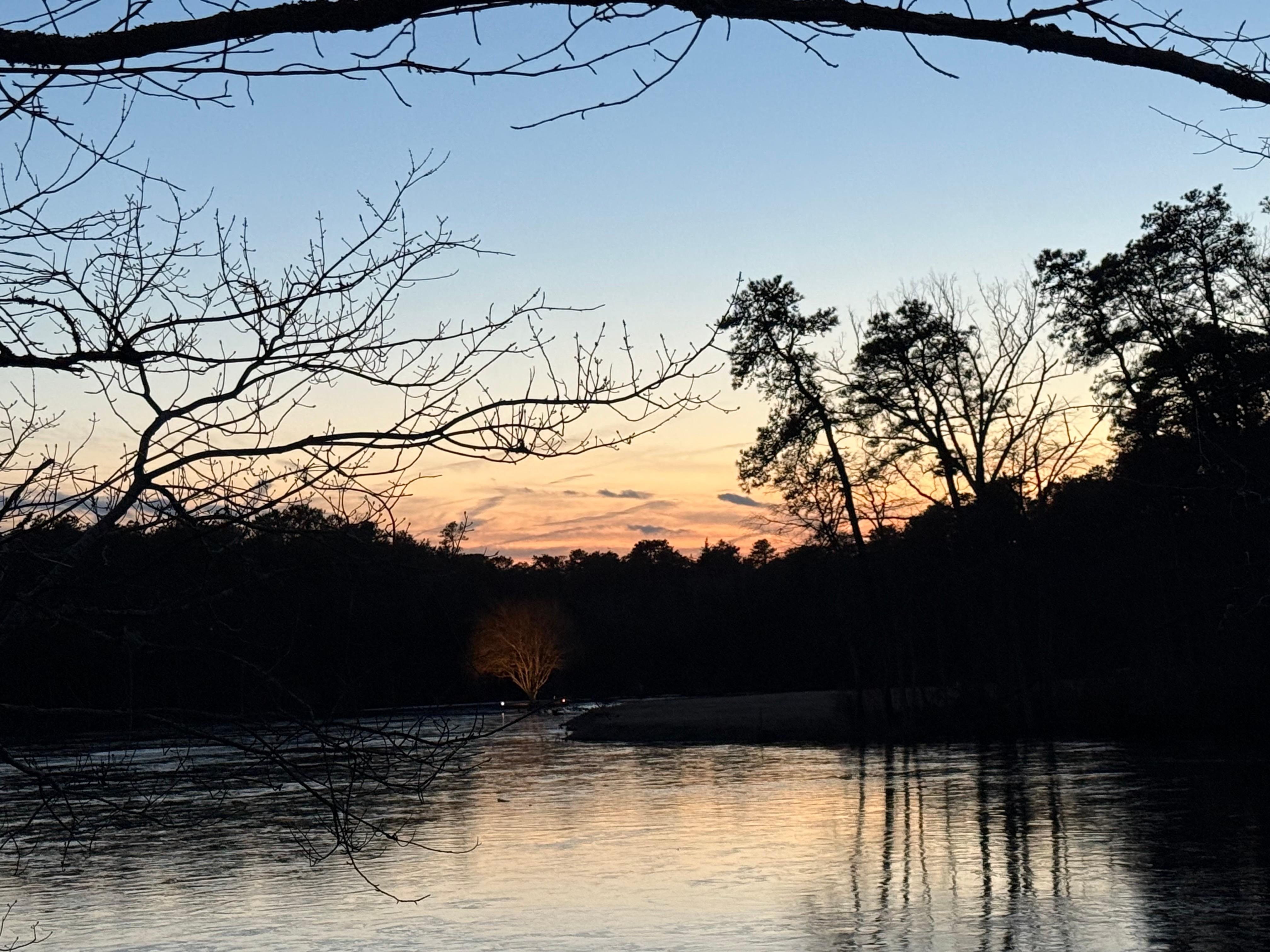 View from the living room 