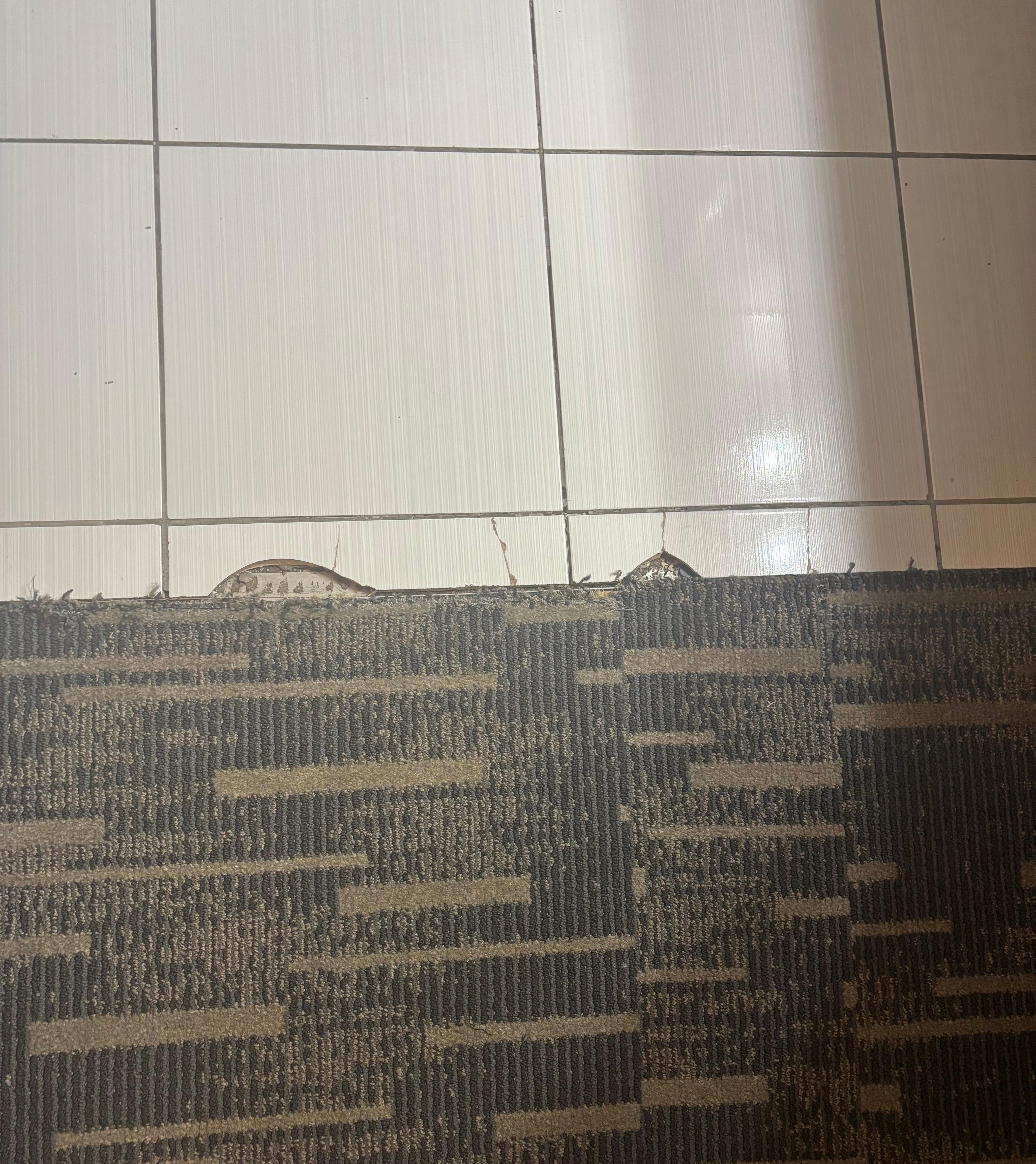 Broken, chipped flooring 