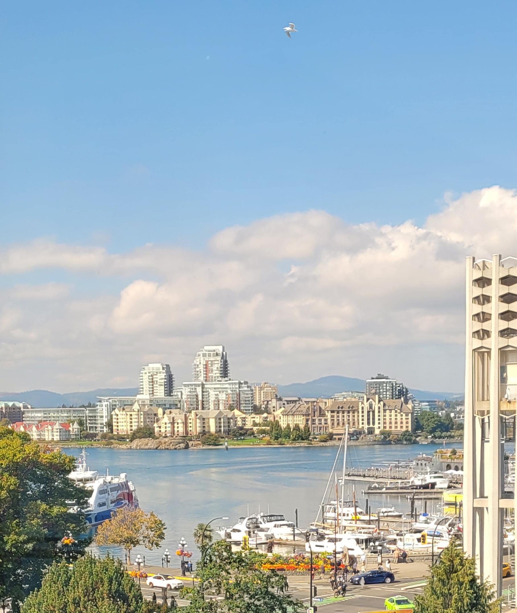 Inner Harbour skyline 