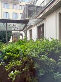View of the garden from room