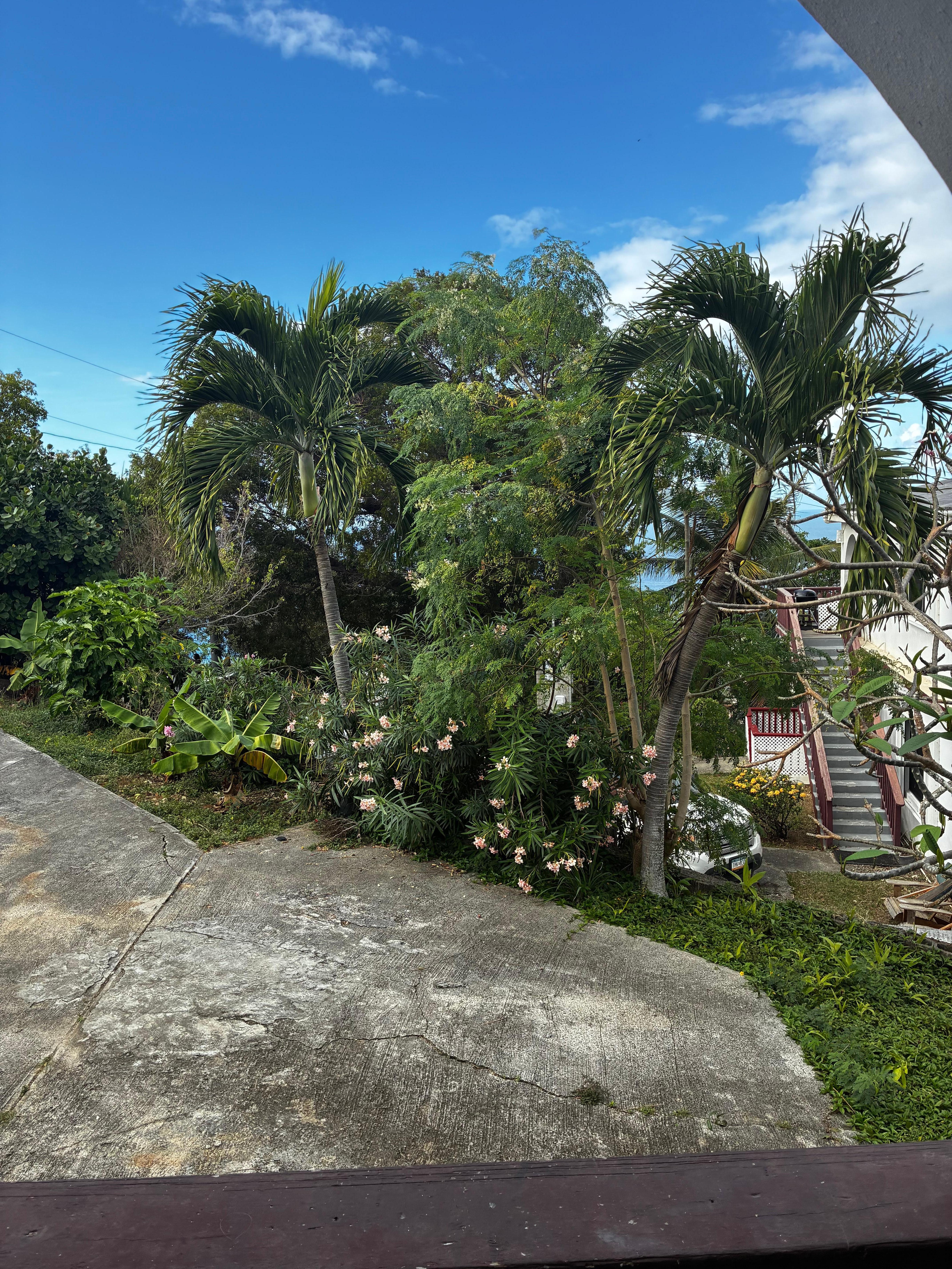 The view from the front porch 