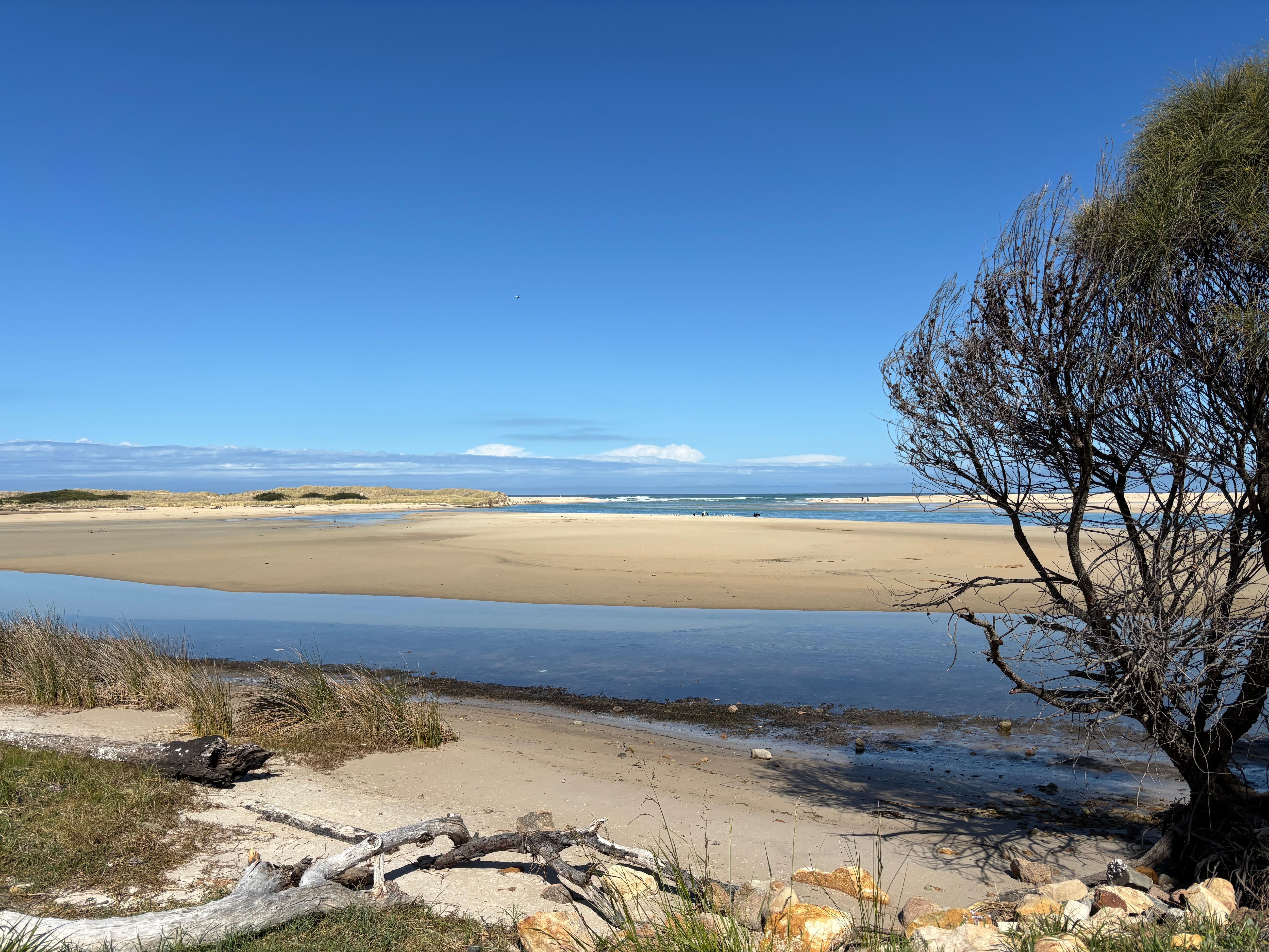 Mid afternoon perfection