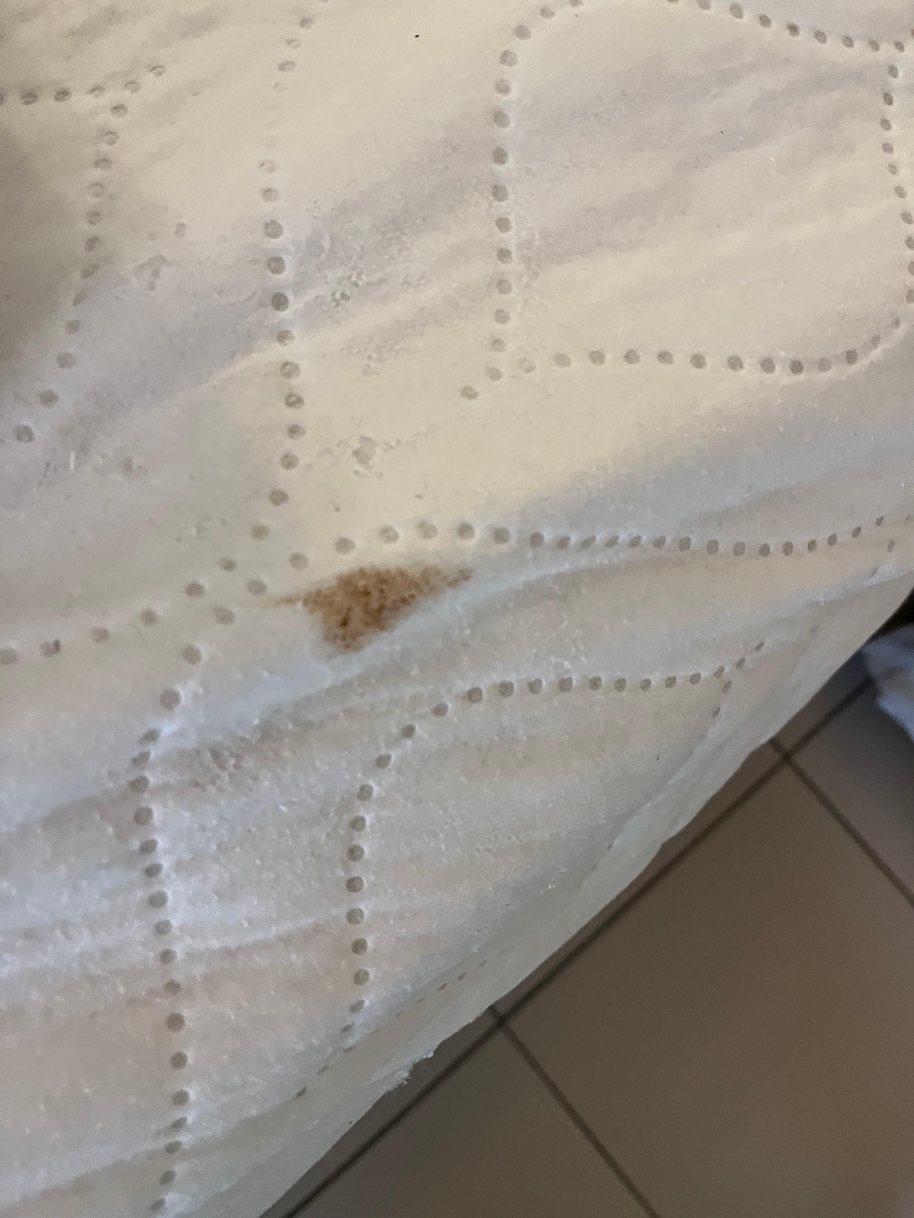 Possibly a blood stain? 