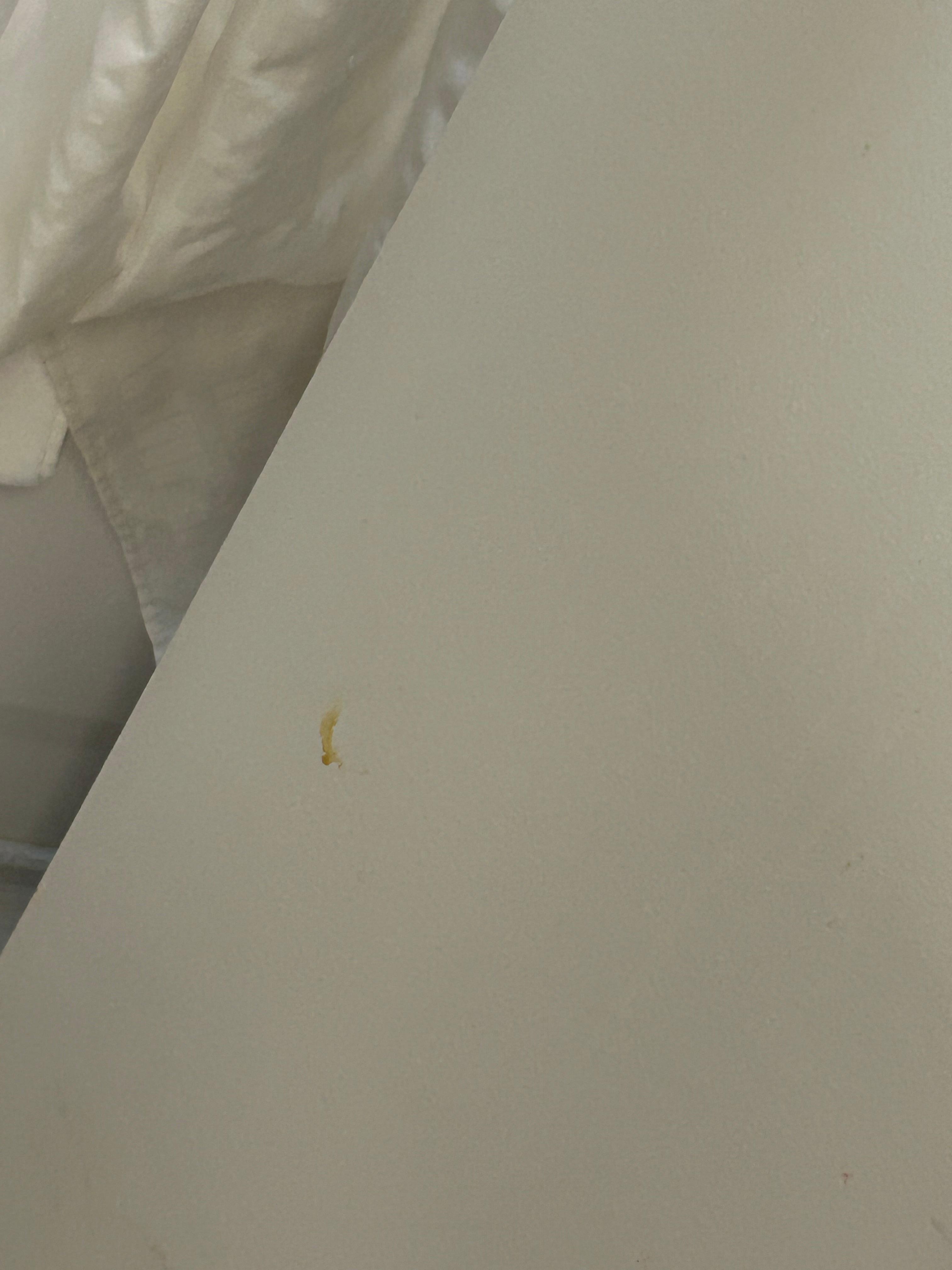 Miscellaneous gunk on front of bathroom door
