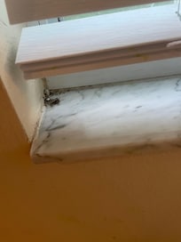 The windowsill hasn’t been cleaned in what looks like a while