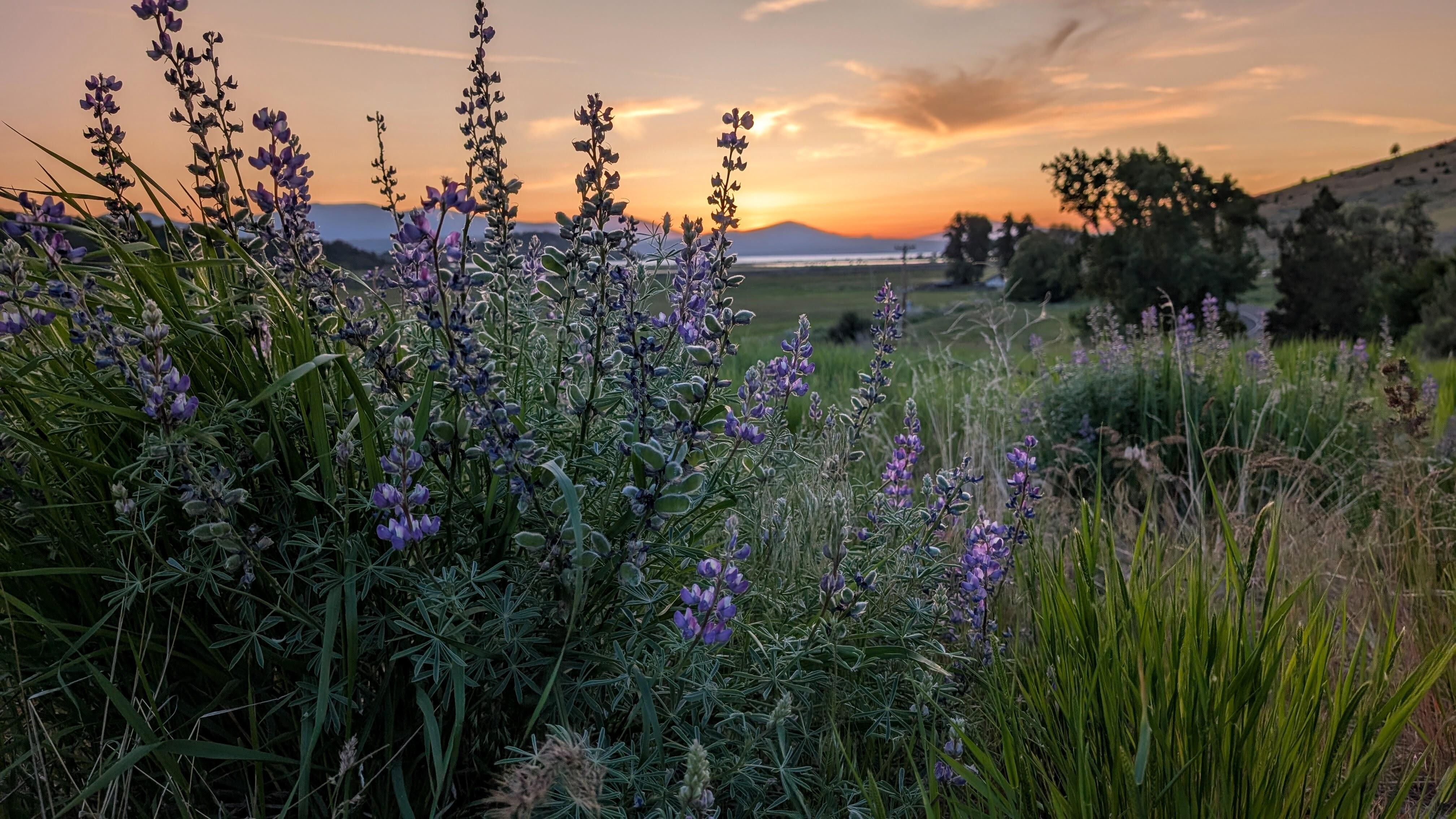 Sunsets at your doorstep