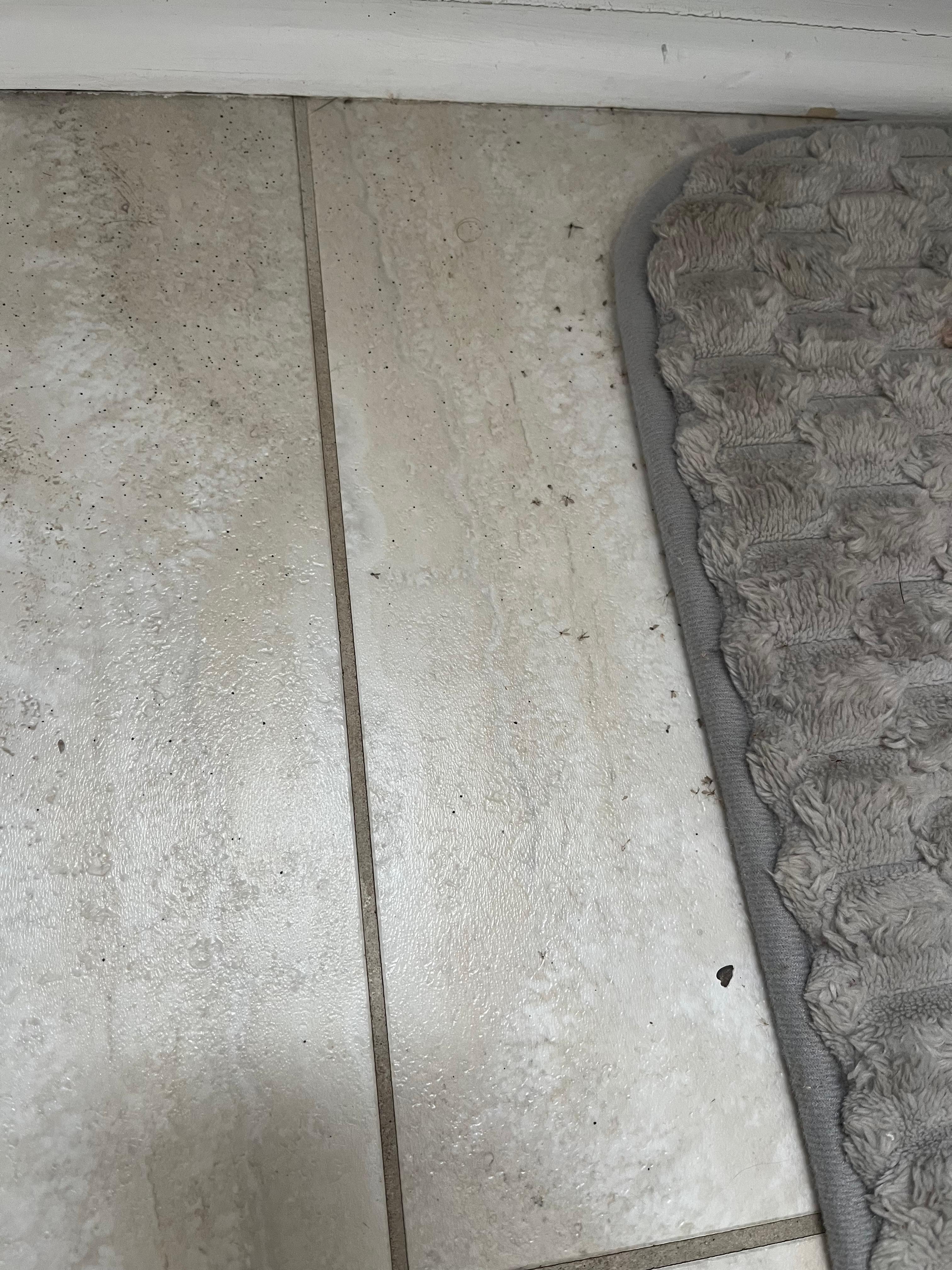 dirty floor outside of shower