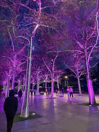 Walkway along the Yarra