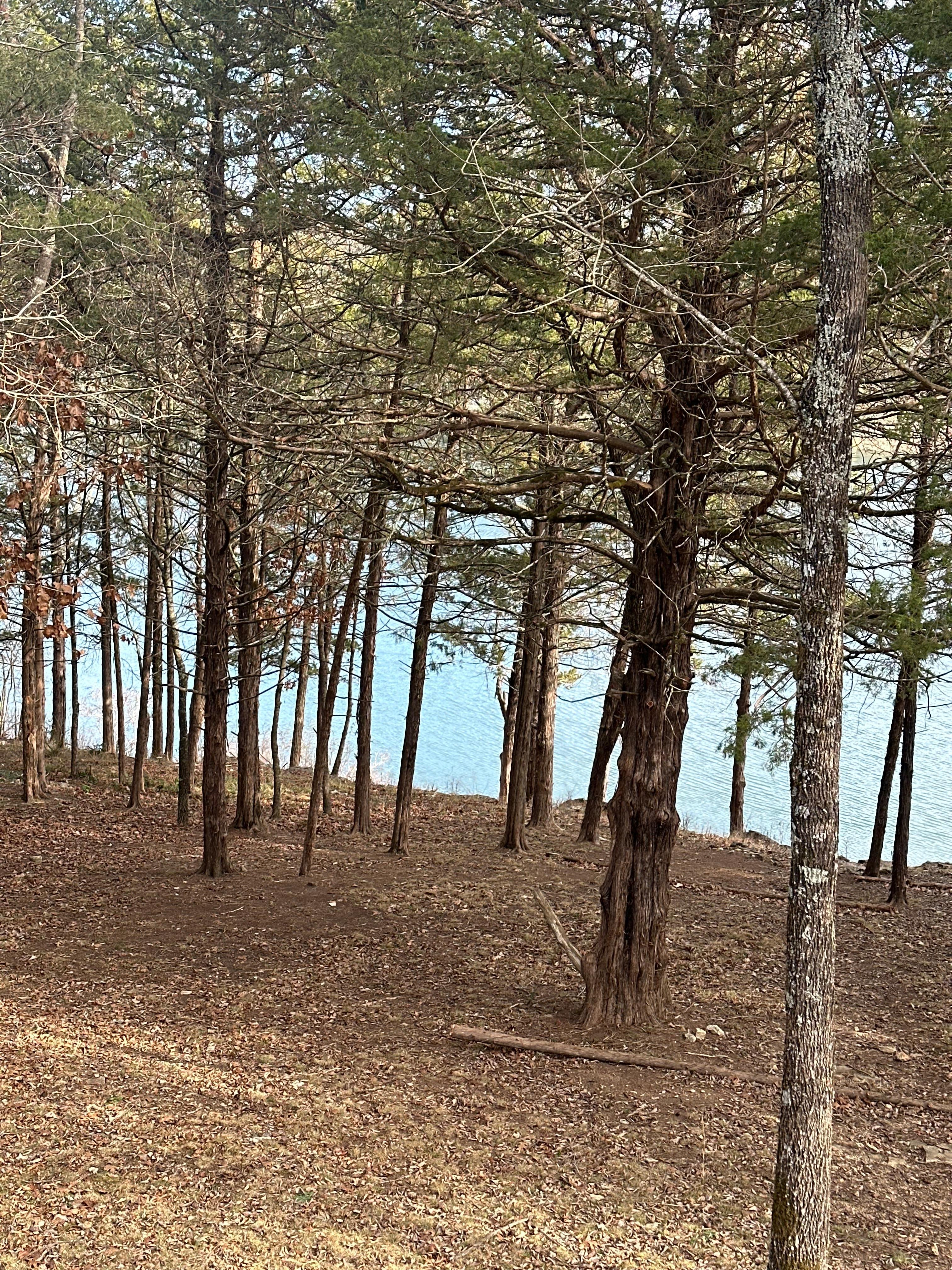 Gorgeous view from the back deck 