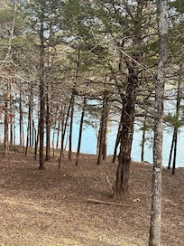 Gorgeous view from the back deck