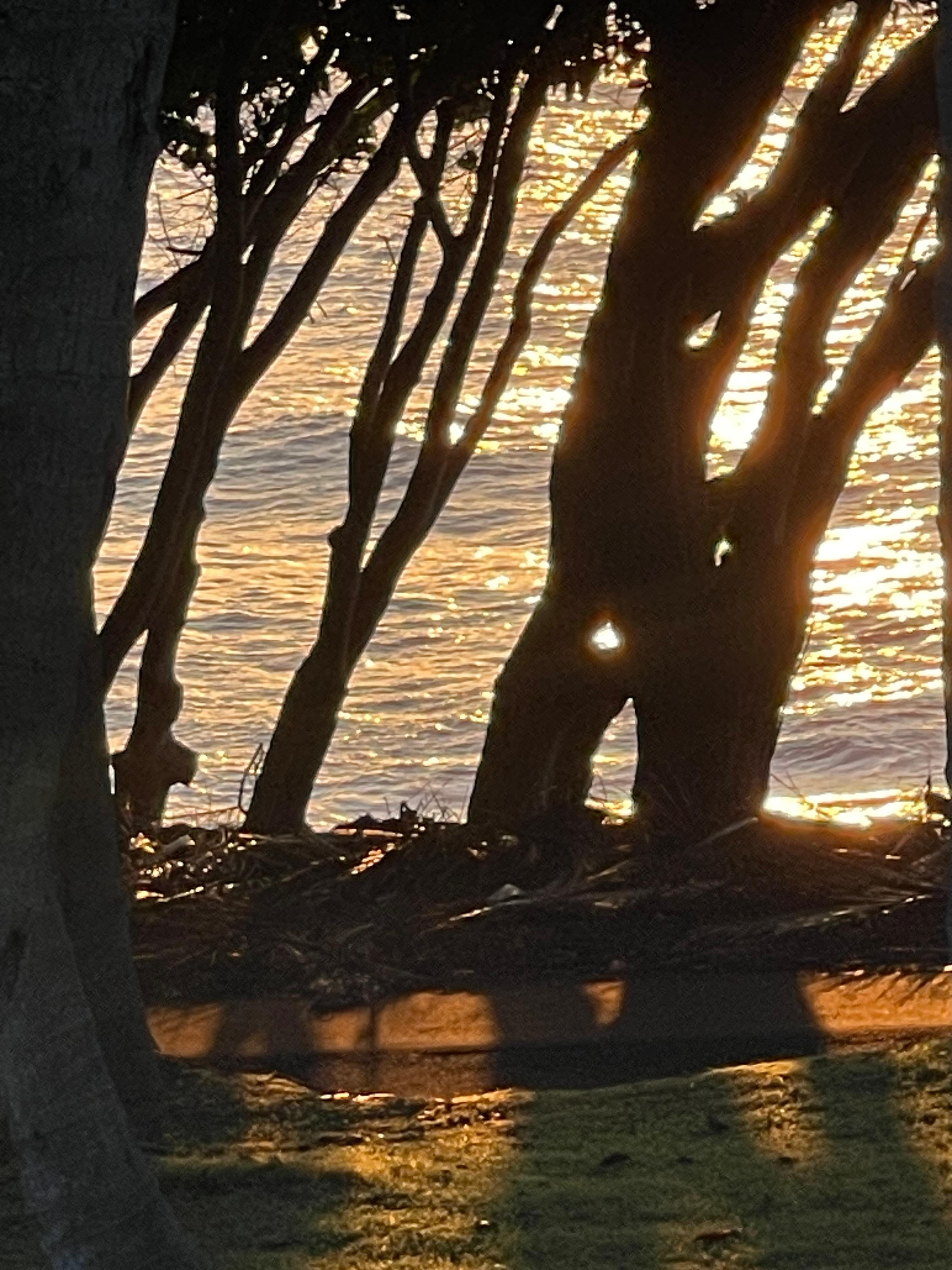 Early morning view from the Lanai