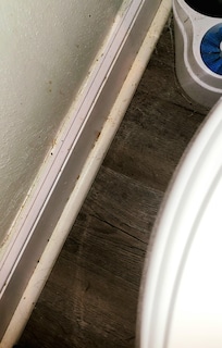 Urine on wall, baseboard, and back of toilet