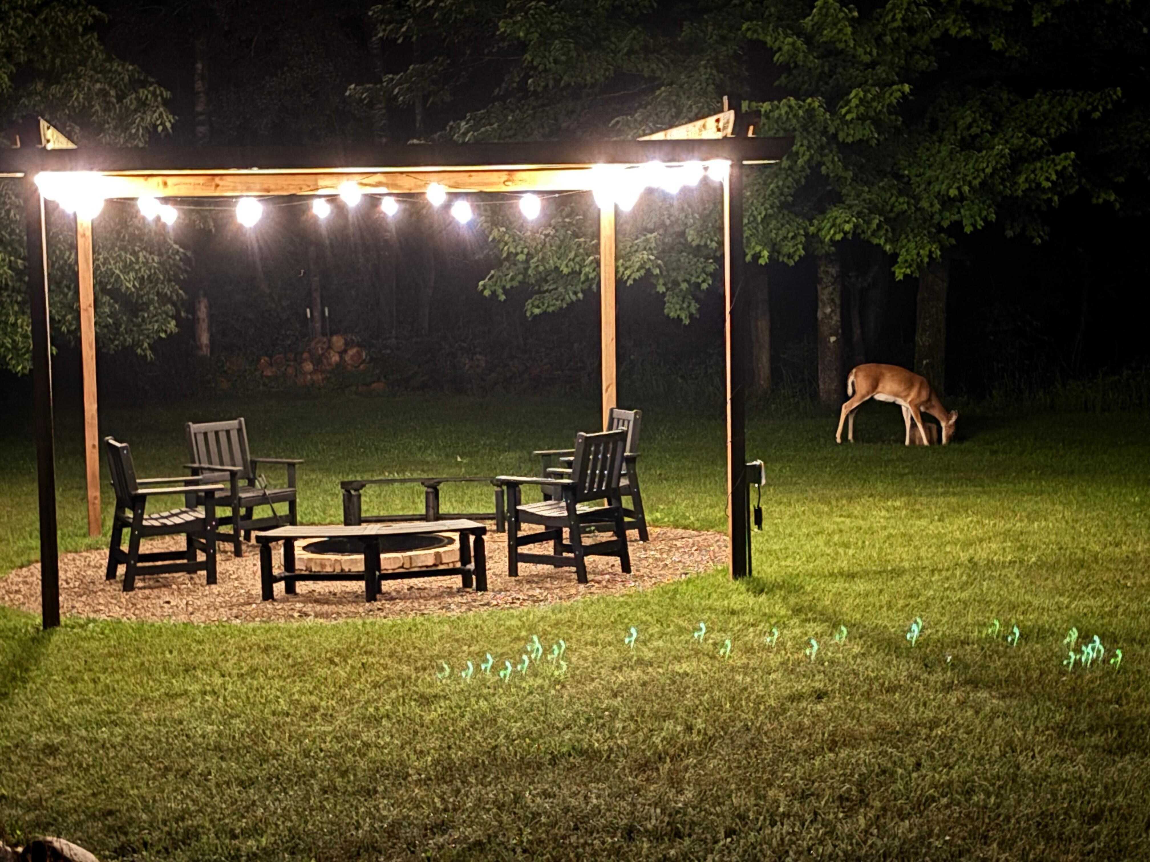 Fire Pit Area 
