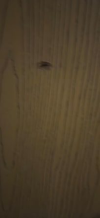 Hole in bathroom door