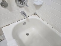 Mold